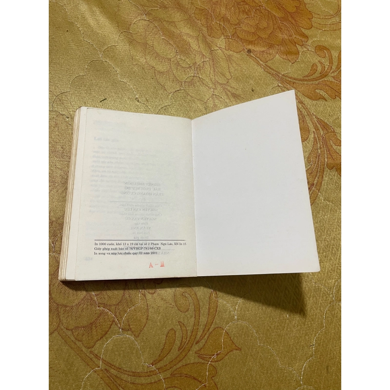 Bầu trời sụp đổ- Sidney Sheldon 2001 470477