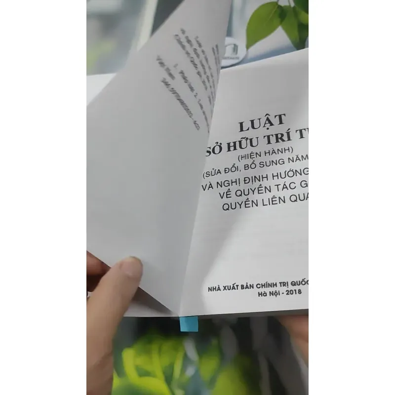 Luật Sở Hữu Trí Tuệ Và Nghị Định Hướng Dẫn Về Quyền Tác Giả, Quyền Liên Quan 727366