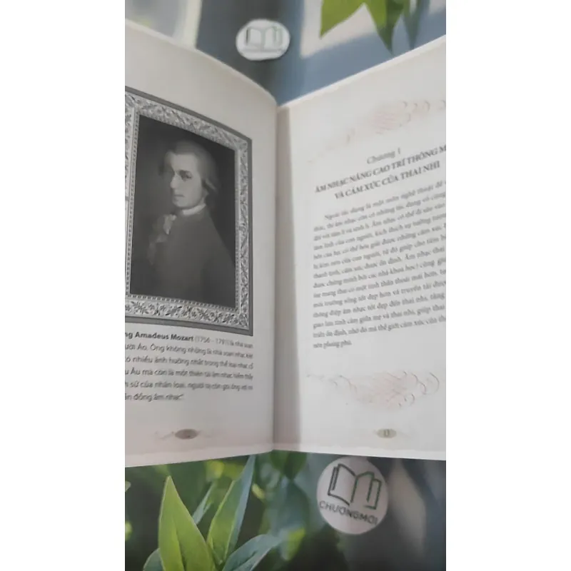 Âm Nhạc Thai Giáo - Càng Nghe Càng Thông Minh - Lý Lợi 1018927