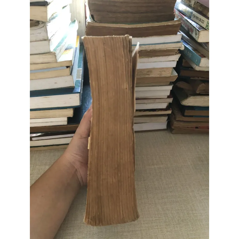 Lời chúa cho mỗi ngày_Mùa thường niên 969915