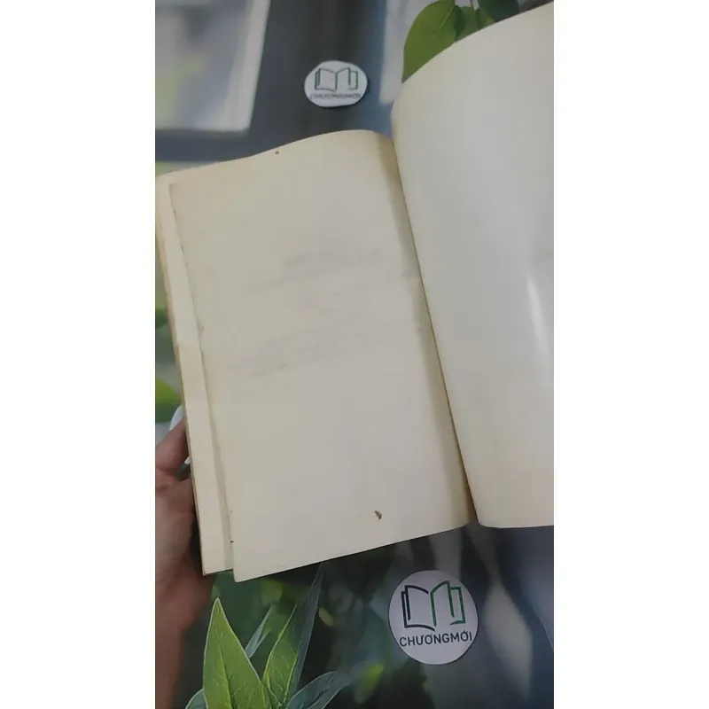 Hồi Dương Nhơn Quả 1018902