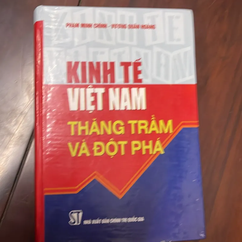 Kinh Tế Việt Nam Thăng Trầm và Đột Phá 1037285