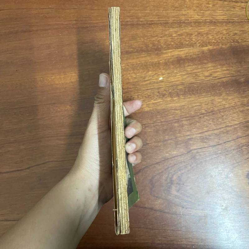 II Tựa sách: Hương Giang Cố Sự - Nguyễn Đắc Xuân - 1986 433385
