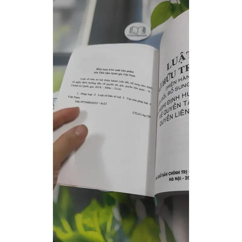 Luật Sở Hữu Trí Tuệ Và Nghị Định Hướng Dẫn Về Quyền Tác Giả, Quyền Liên Quan 727366