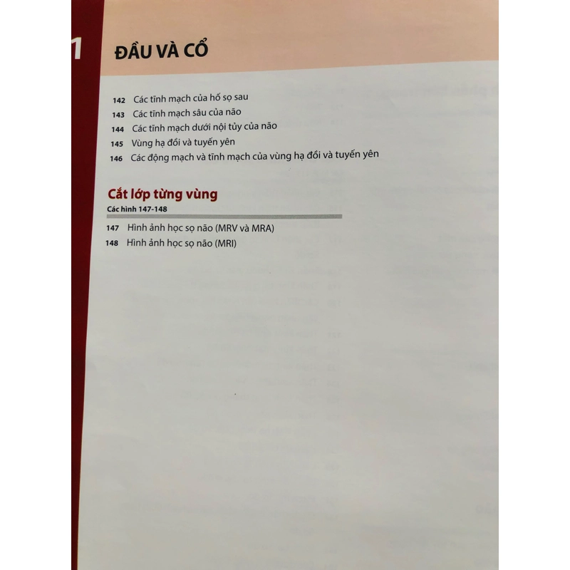 ATLAS GIẢI PHẪU NGƯỜI 5 479466