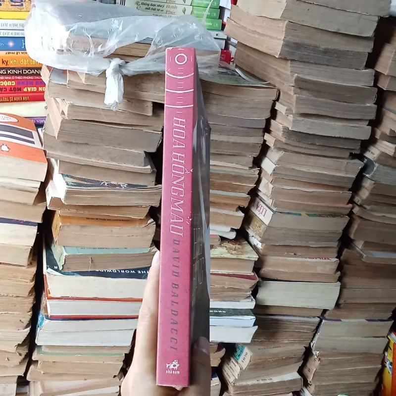 Hoa Hồng Máu - David Baldacci 776922