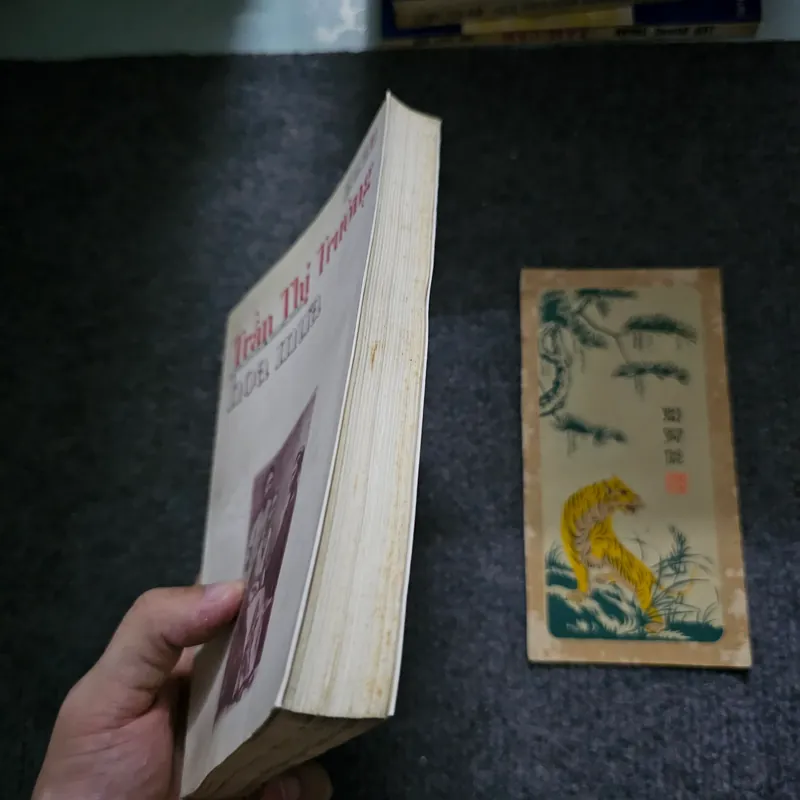 Hoa mưa - Trần thị trường 735629