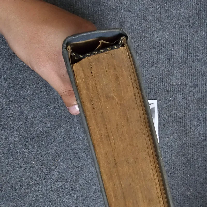 Lev Tolstoy truyện chọn lọc 971596