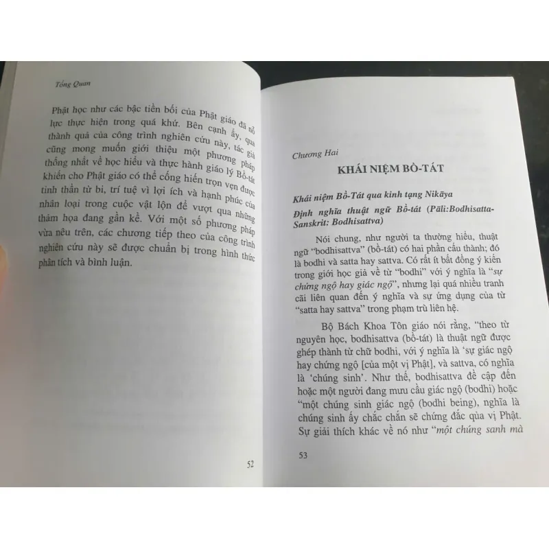 Khái niệm về Bồ tát Quán Thế Âm 701727