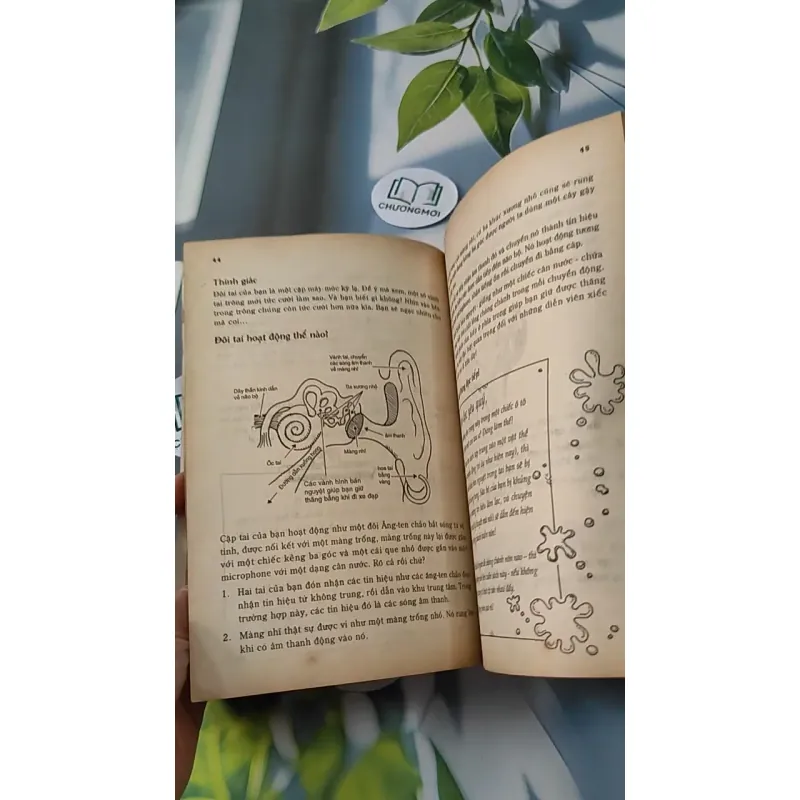 Cơ Thể Chúng Ta Một Thế Giới Kỳ Thú - Nick Arnold 727238