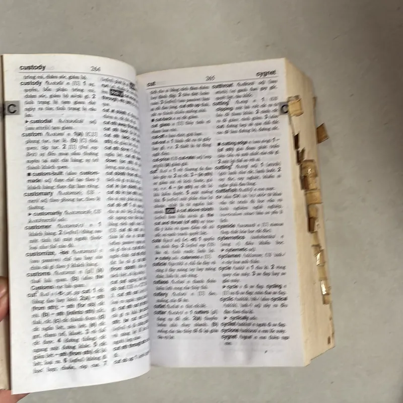 Từ điển Anh - Việt 693150