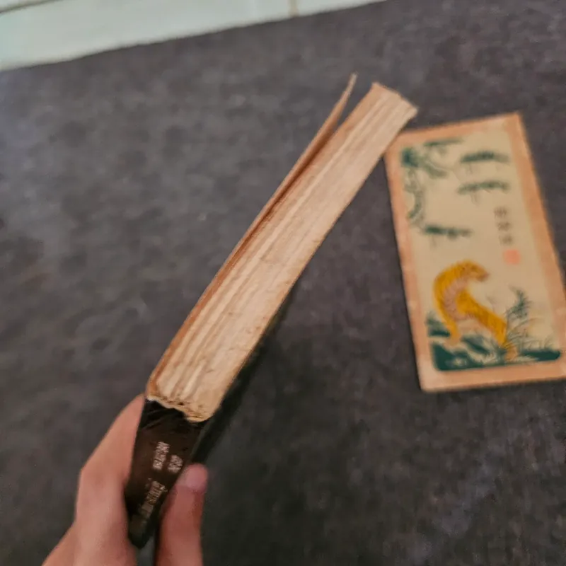 Freud đã thực sự nói gì 736855