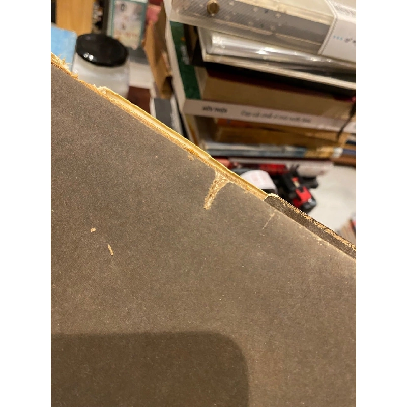 Dutch Painting in Soviet Museums 745469