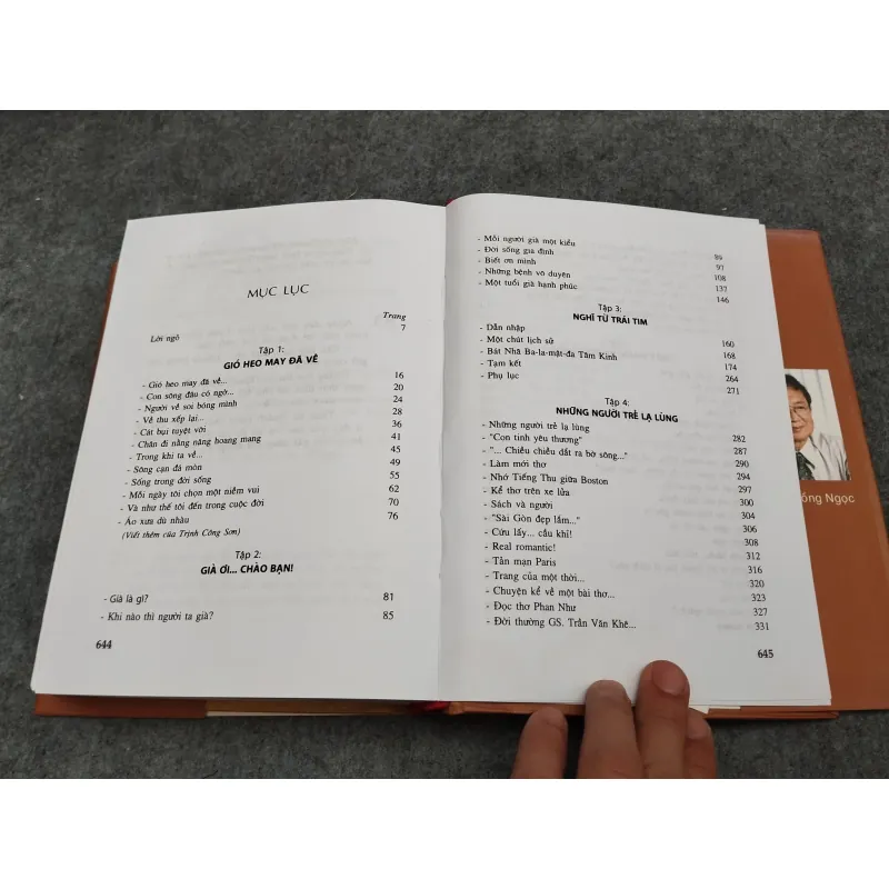 CÀNH MAI TRƯỚC SÂN - ĐỖ HỒNG NGỌC 936845