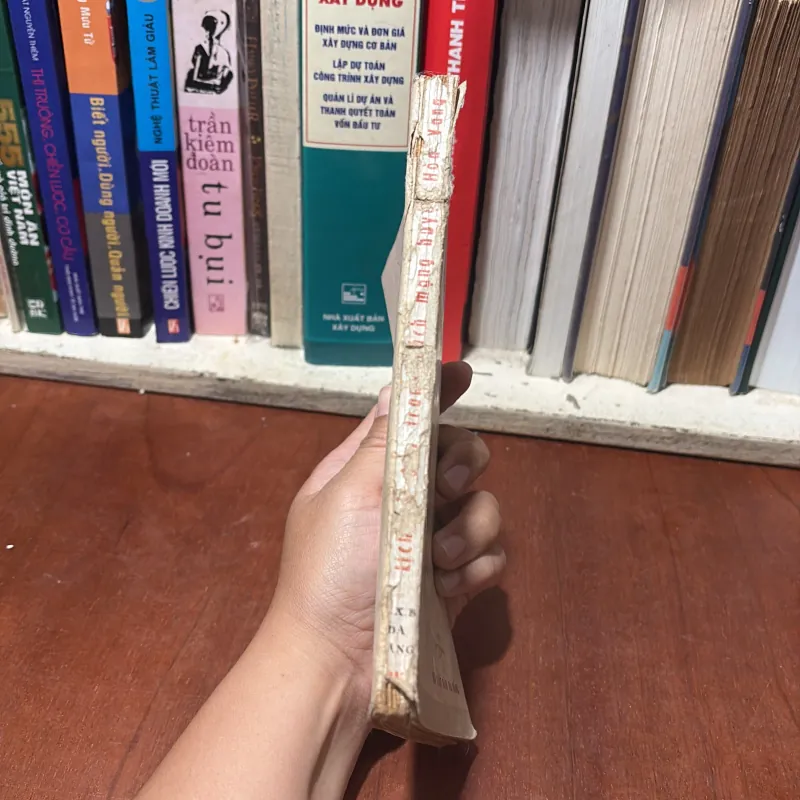 II Sách Lịch Sử: Lịch Sử Đấu Tranh Cách Mạng Huyện Hoà Vang (1928•1954) - 1985 752308