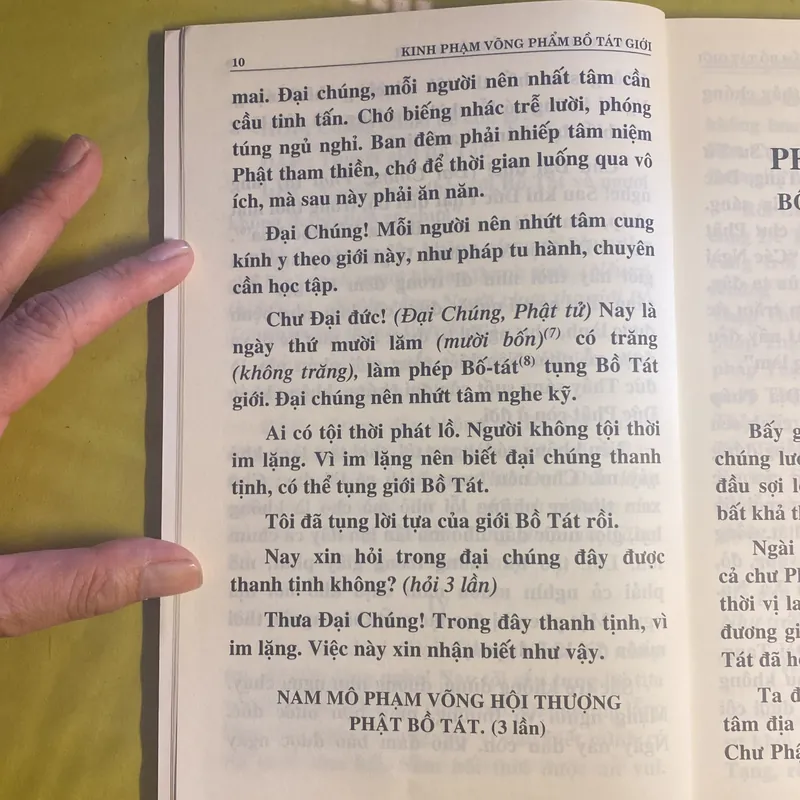 Kinh Phạm Võng Bồ Tát Giới - HT Thích Trí Tịnh dịch 603777