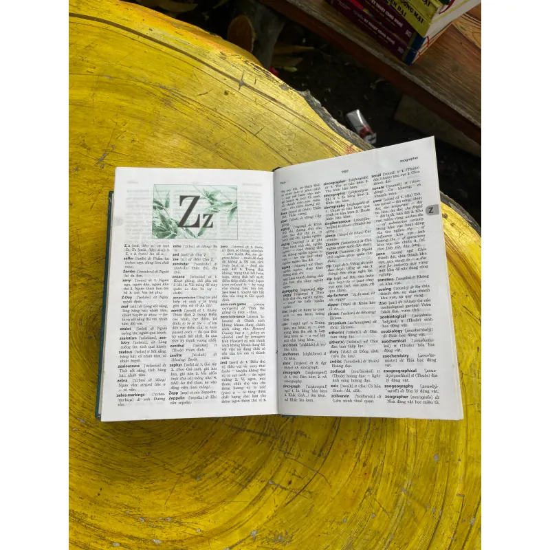 TỪ ĐIỂN ANH - VIỆT ENGLISH- VIETNAMESE DICTIONARY- VIỆN NGÔN NGỮ HỌC- NEW EDITION 731006