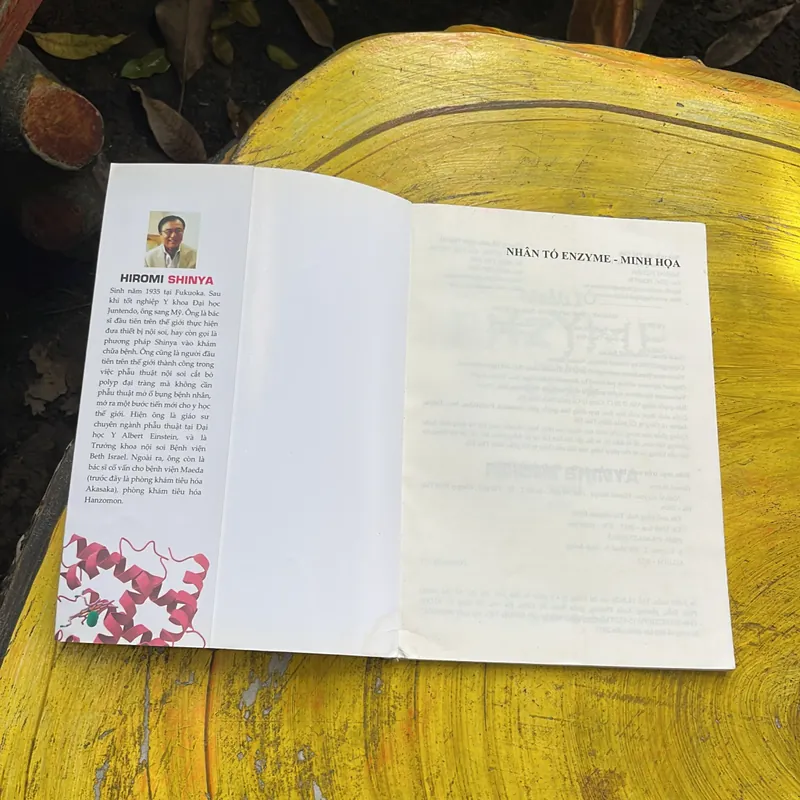 NHÂN TỐ ENZYM Minh hoạ 588989