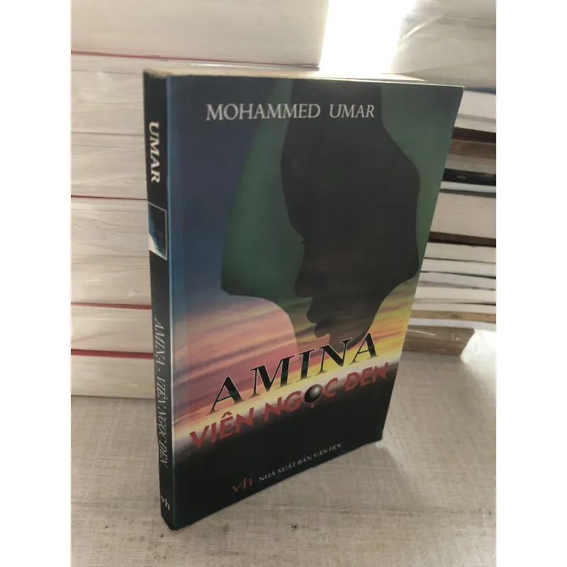 Amina - viên ngọc đen 784366