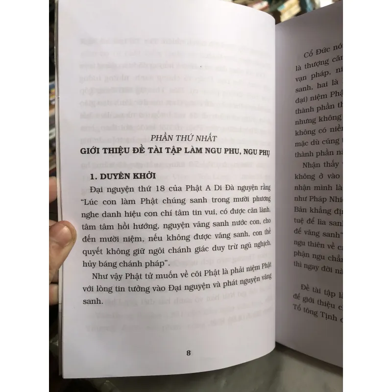 Tín tâm đại nguyện Phật A Di Đà 1044342
