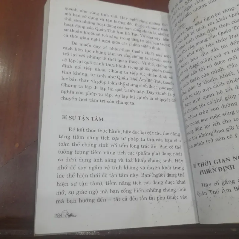 Thubten Chodron - VUN BỒI TRÁI TIM NHÂN ÁI 789582