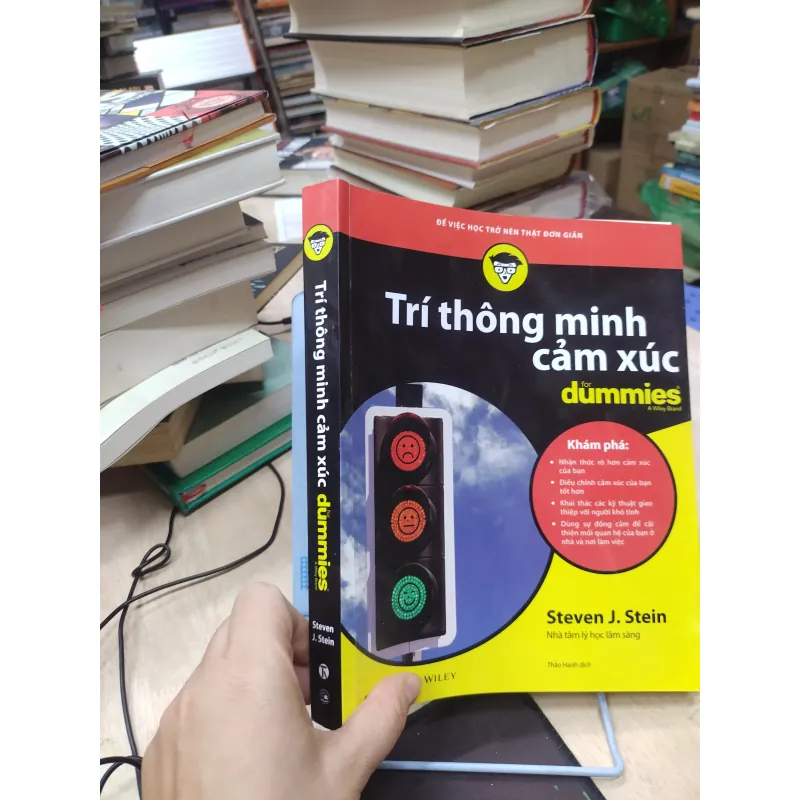 Sách: Trí thông minh cảm xúc cho người mới bắt đầu - TG: Steven J. Stein (B2) 755709
