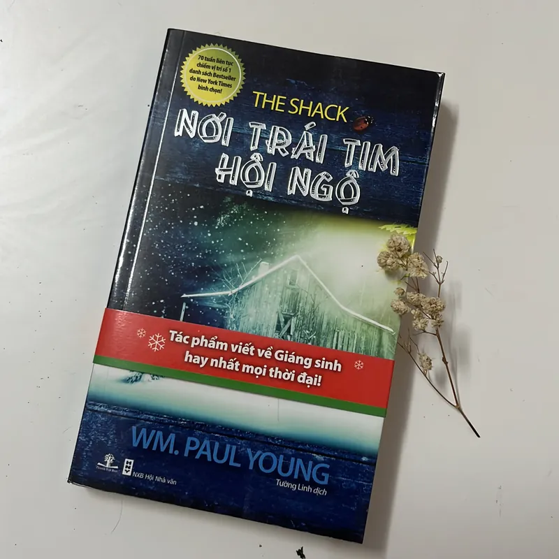 Nơi trái tim hội ngộ – William P. Young 601643