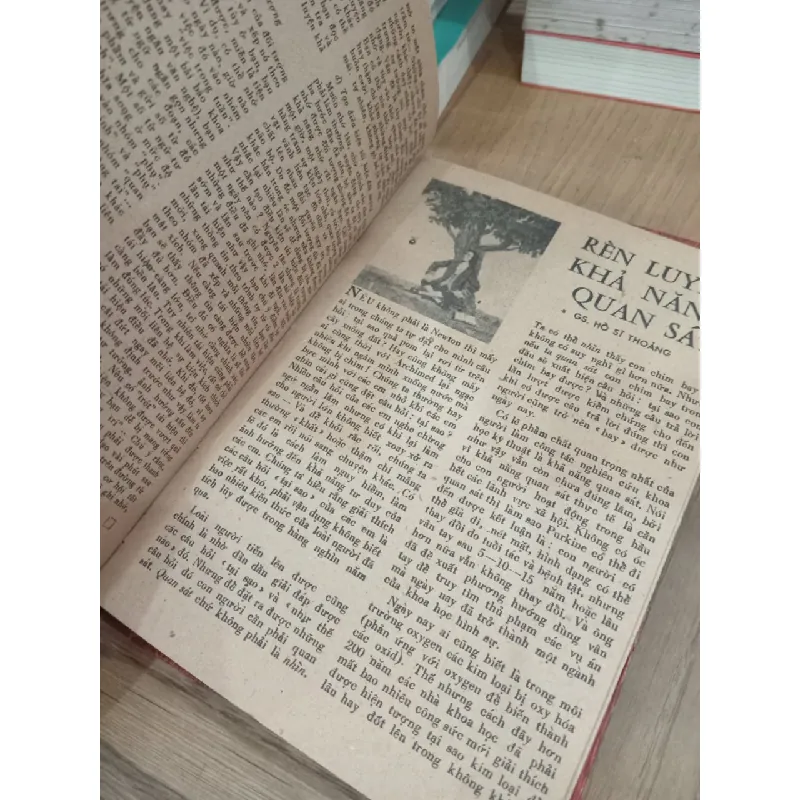 Kỹ thuật nuôi cá trê phi 706078