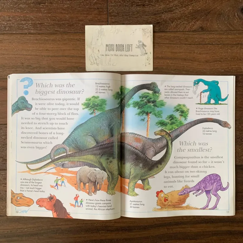 Sách ngoại văn I Wonder Why: Triceratops Had Horns, Used, Bìa mềm 756489