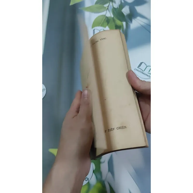 [MIỄN PHÍ BỌC SÁCH] [XƯA] Phấn Thông Vàng (1968) - Xuân Diệu 776042