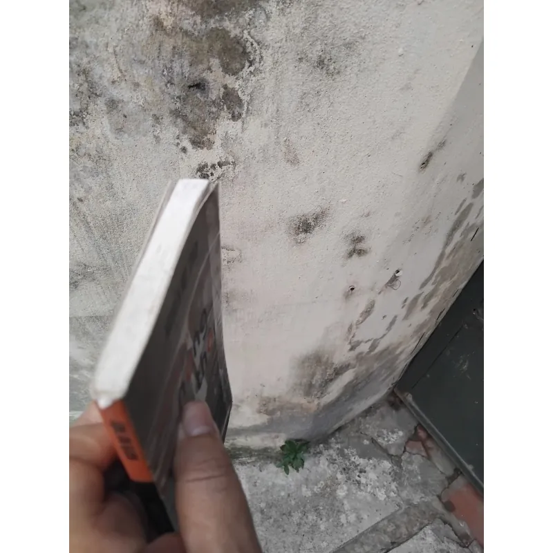 Những truyện nông thôn của nhà văn Nguyễn Huy Thiệp  1004705