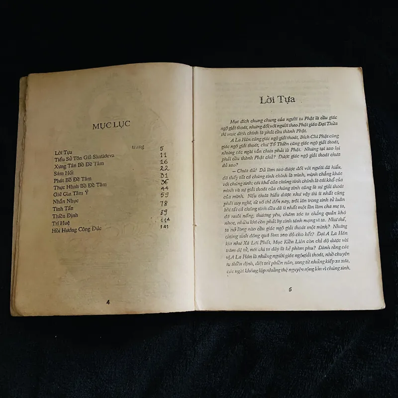 Bồ tát hạnh - Thích Trí Siêu  731754