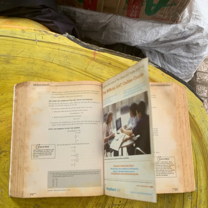 THE OFFICIAL SAT GUIDE: FOR THE NEW SATtm 1022750