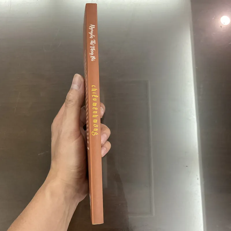 [TRUYỆN NGẮN] Chiều mênh mông - Nguyễn Thị Thuỵ Vũ 712281