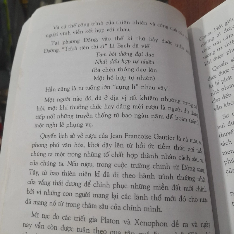 RƯỢU trong đời sống văn hóa Phương Tây 518811