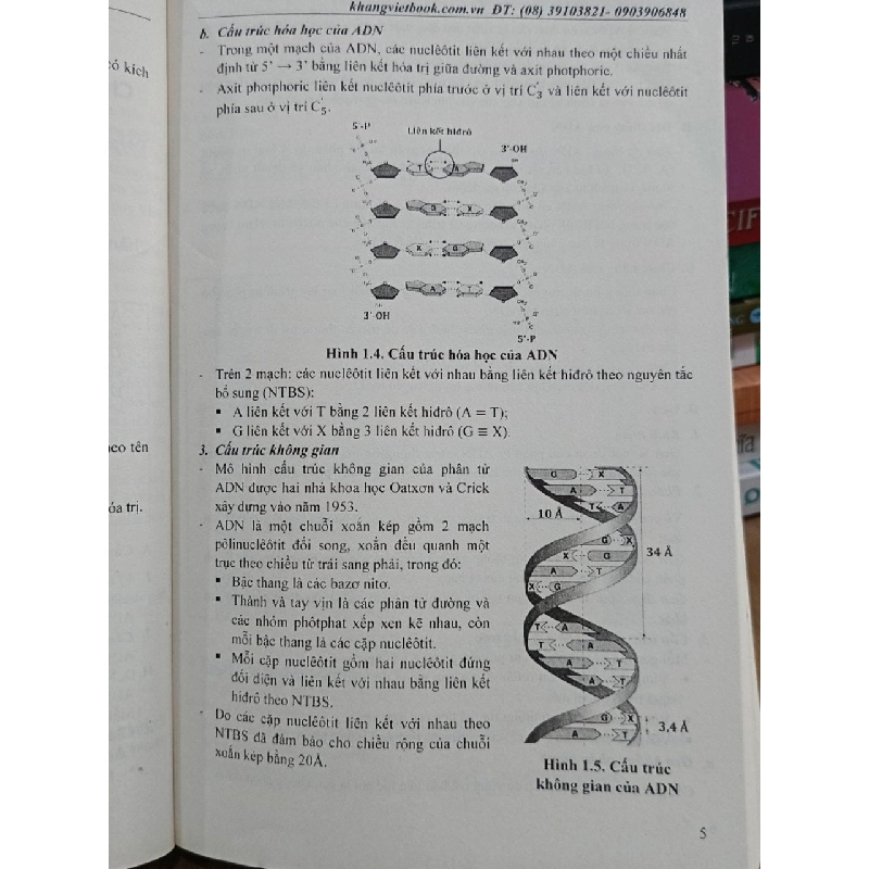 Công phá lý thuyết Sinh học 784455