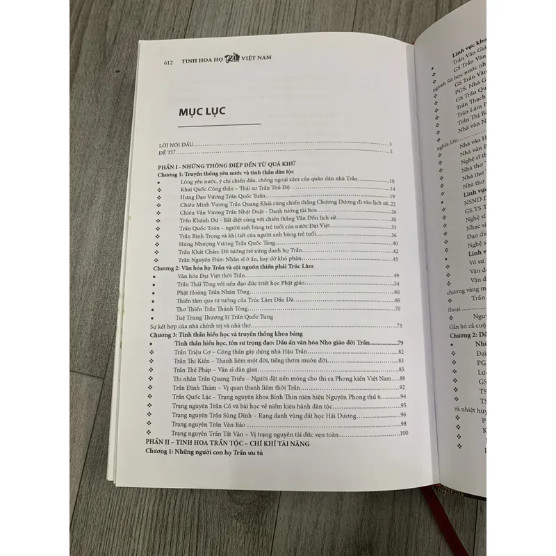 Tinh hoa họ trần việt nam. 5a1 719475