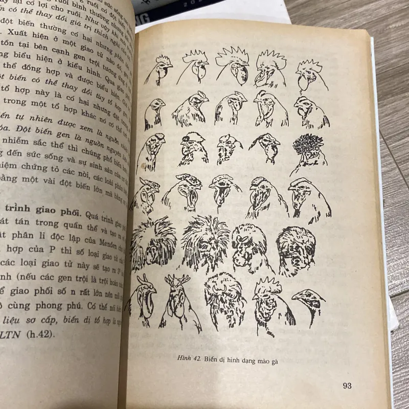 SINH HỌC 12 (XB 2000) 994072