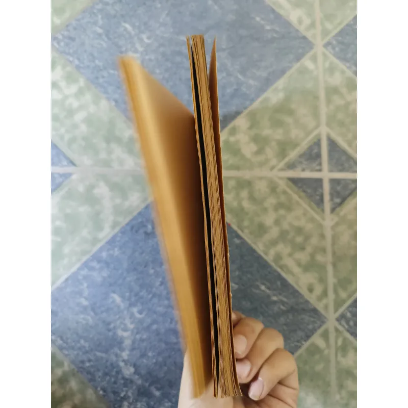 Luận đề về Đoạn Tuyệt nửa chừng xuân mười điều tâm niệm - G.S Chu Đăng Sơn 708612