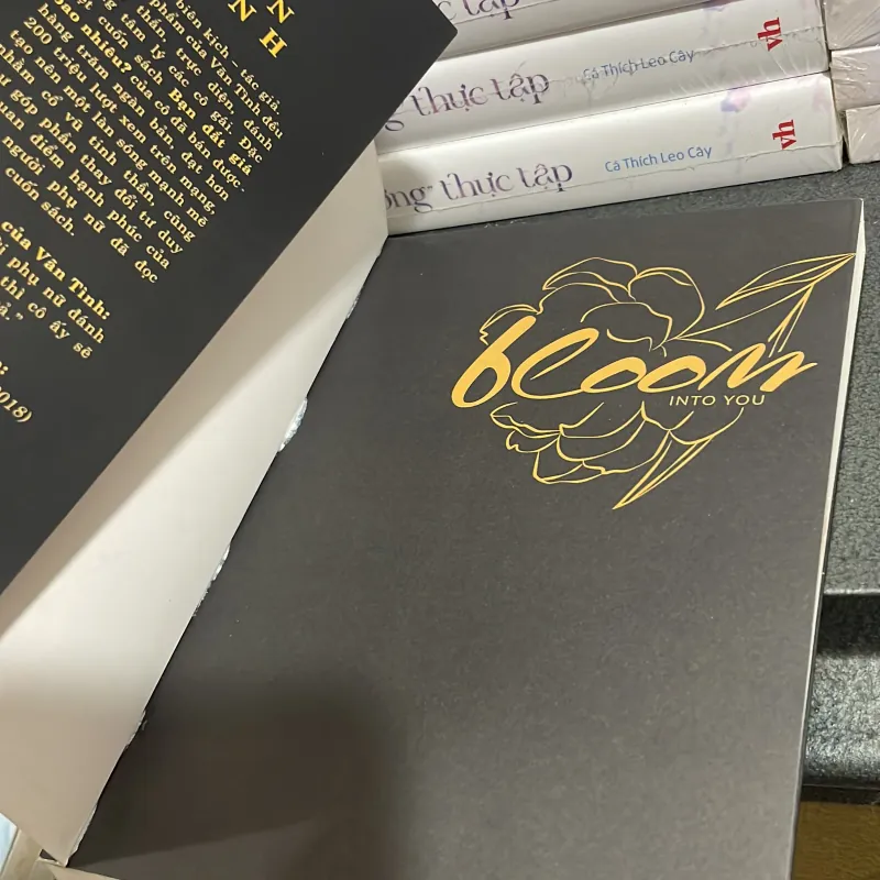 Bạn đắt giá bao nhiêu - Vãn Tình 998032