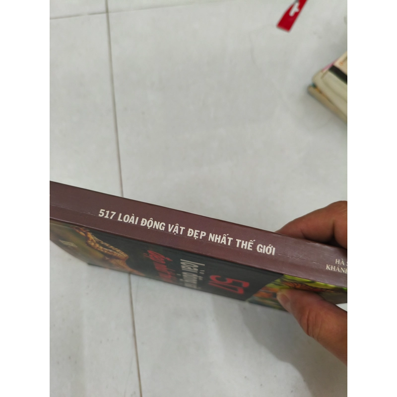 517 loài động vật đẹp nhất thế giới  413032
