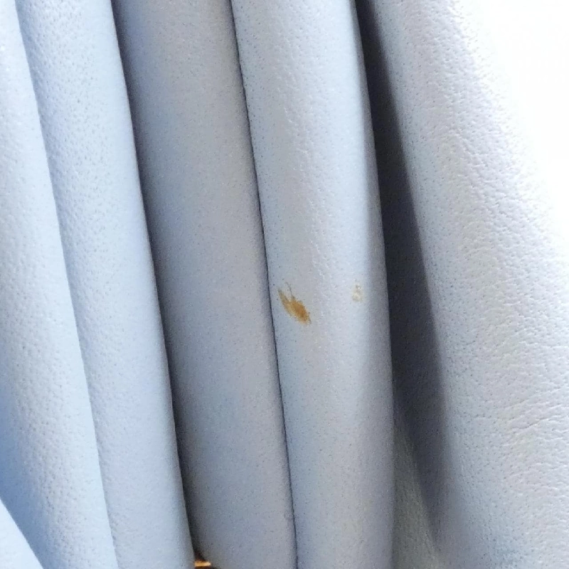 Bottega Veneta 585852 VCP40 Túi đeo vai 610990