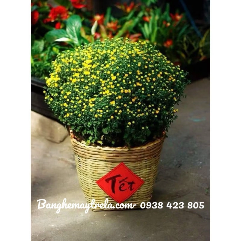 Giỏ cần xé 454326
