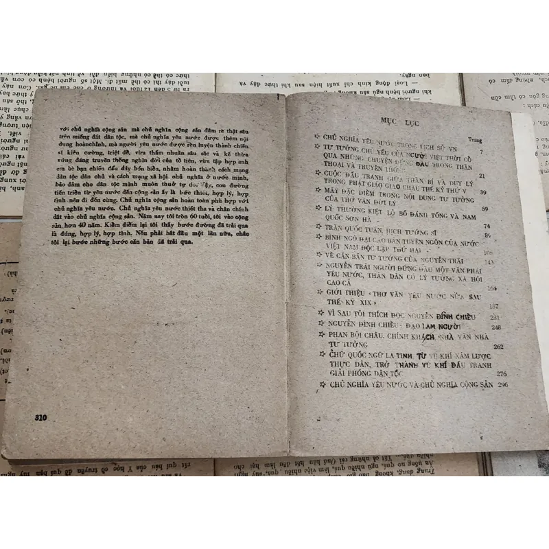 Trong vòng chủ lưu của văn học Việt Nam: Tư tưởng yêu nước (Trần Văn Giàu) 726777