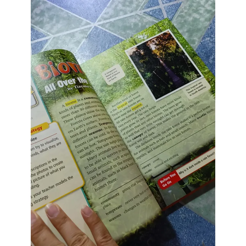 Cornerstine ( 1B, 3, 4, 5) - Pearson Longman 1019397