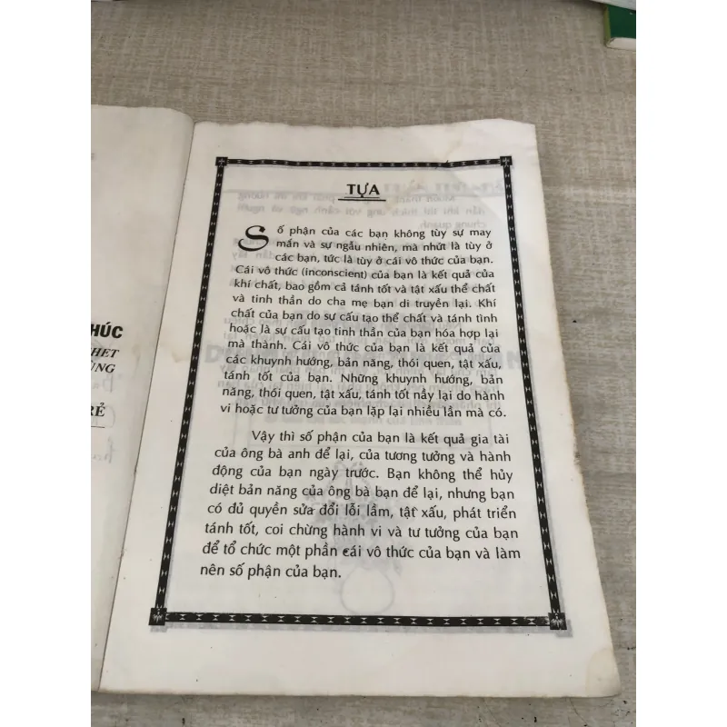 Con đường hạnh phúc  1009841