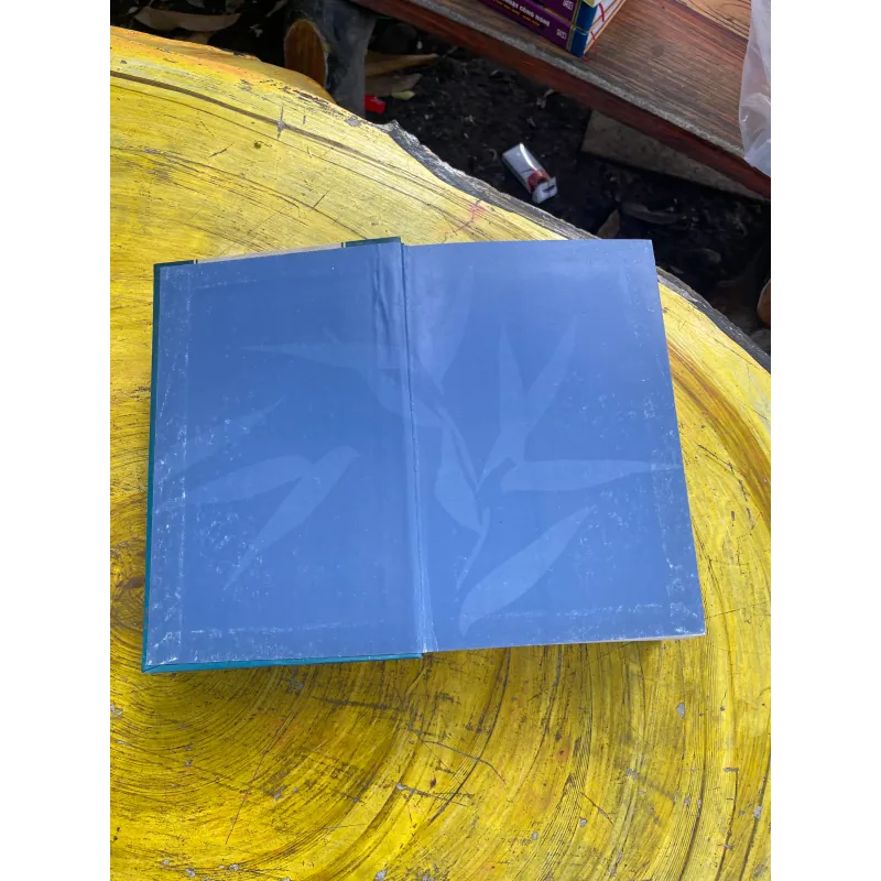 TỪ ĐIỂN ANH - VIỆT ENGLISH- VIETNAMESE DICTIONARY- VIỆN NGÔN NGỮ HỌC- NEW EDITION 731006