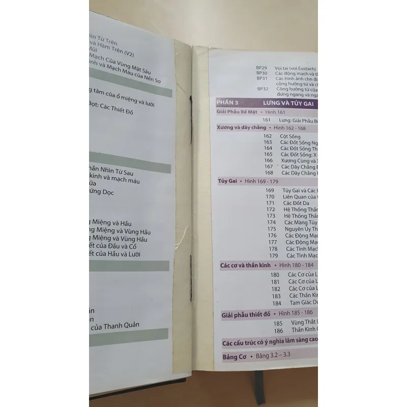 ATLAS 7 GIẢI PHẪU  1008119