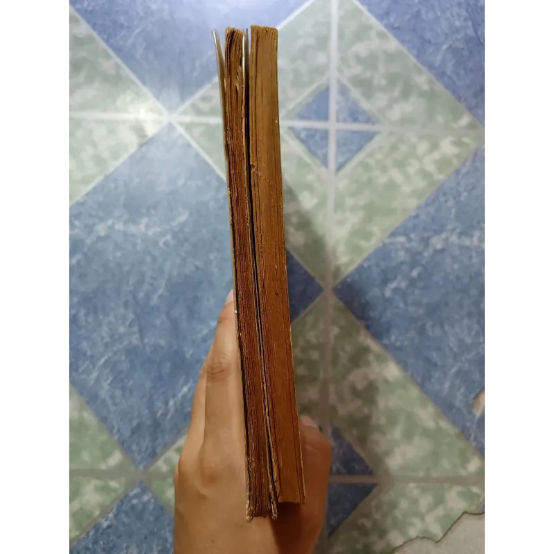 Dã Đàm Tả Ao + Địa Lý Tả Ao - Cao Trung 1000203