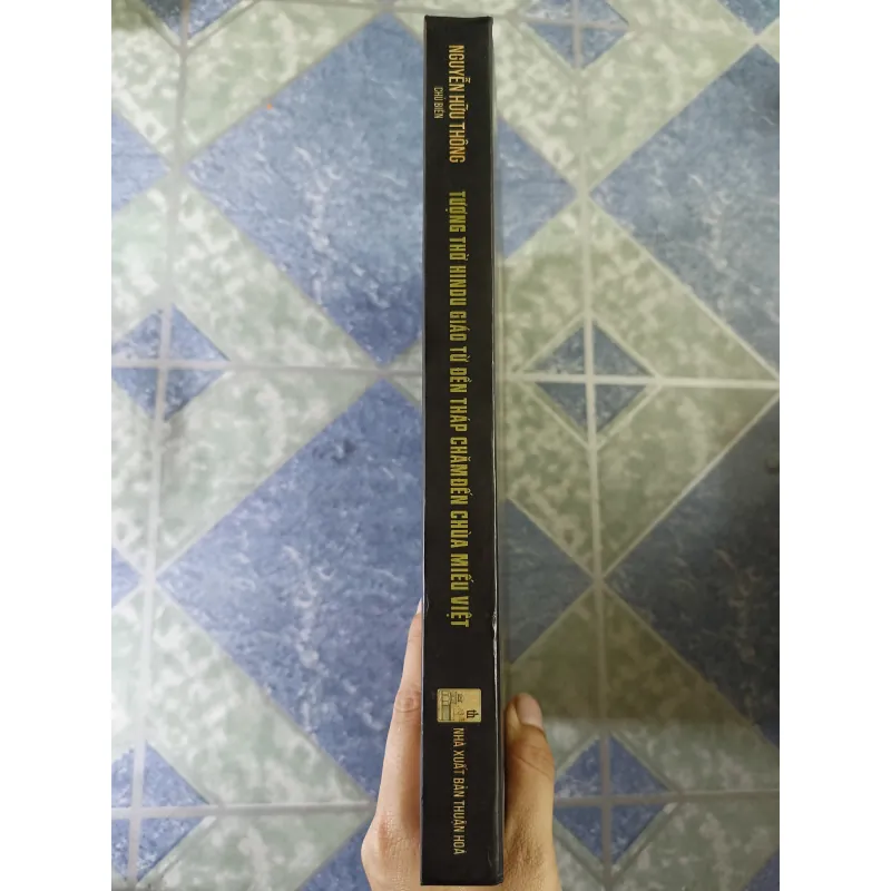 Tượng thờ Hindu giáo từ đền tháp chăm đến chùa miếu Việt - Nguyễn Hữu Thông 748830